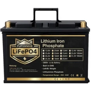 LiFePO4 24V/100Ah Акумулятор PUPVWMHB з BMS для резервного живлення